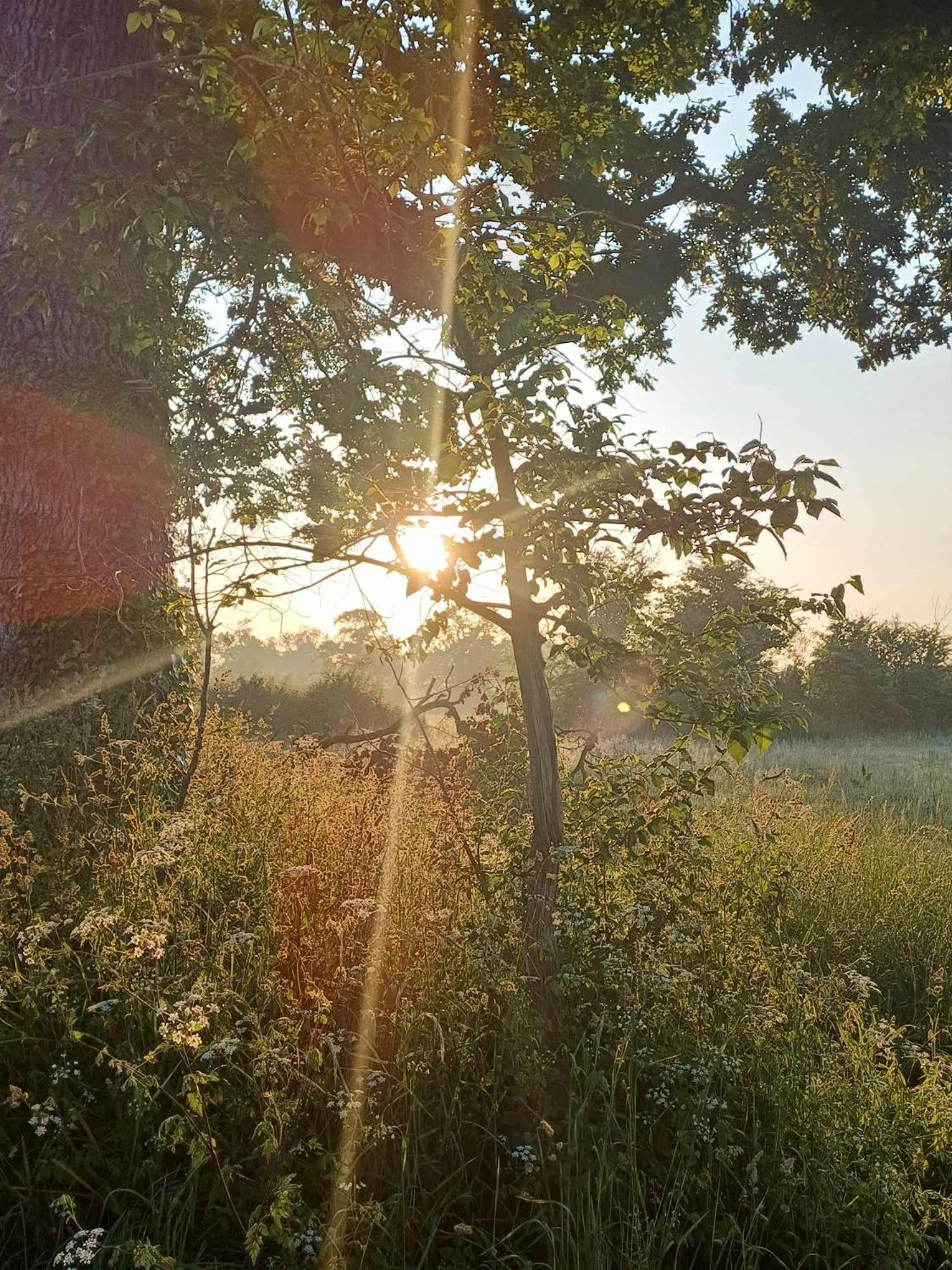 Auxais Memory 44' Bed and Breakfast Buitenkant foto